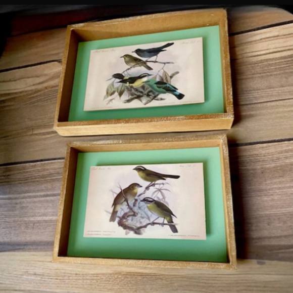 Vintage Style Framed Bird Art Illustrations Set, 2 Piece - Picture 5 of 12